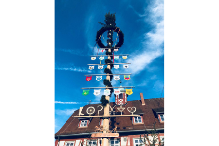 Aufstellung Maibaum